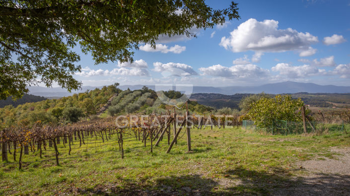 Image No.33-3 Bed Country House for sale