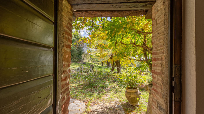 Image No.61-3 Bed Country House for sale