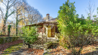 1 - Arcidosso, Villa