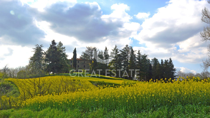 Image No.23-12 Bed Country House for sale