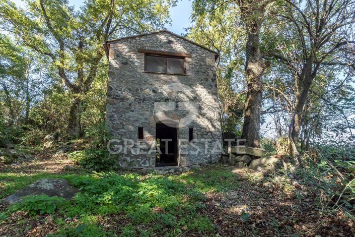 Image No.21-5 Bed Country House for sale