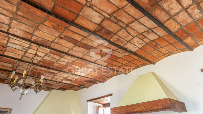 Image No.55-12 Bed Country House for sale