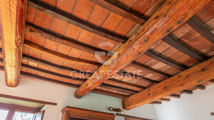 Image No.56-12 Bed Country House for sale