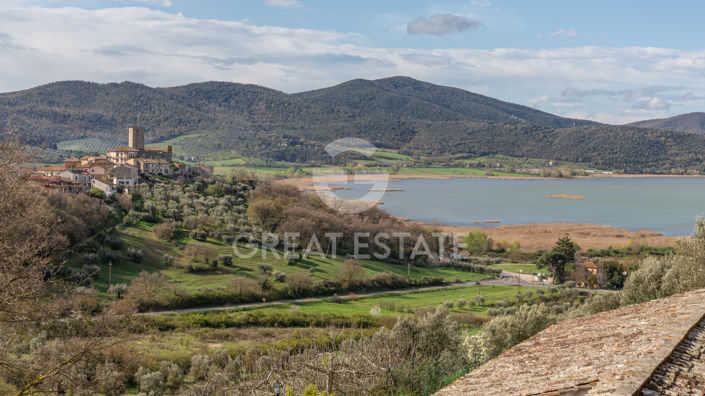 Image No.58-12 Bed Country House for sale