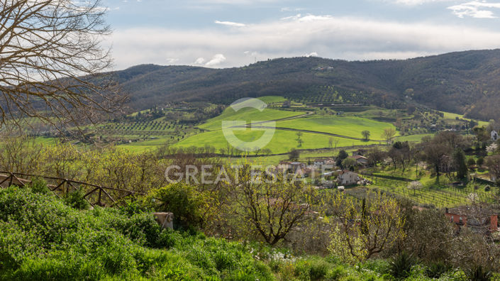Image No.59-12 Bed Country House for sale