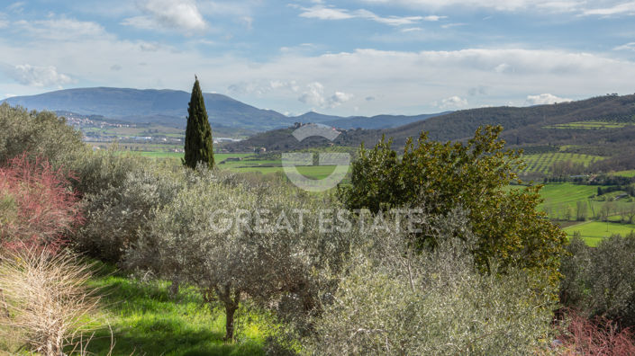 Image No.60-12 Bed Country House for sale