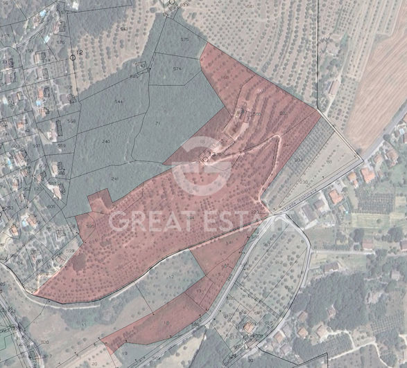 Image No.1-floorplan-1