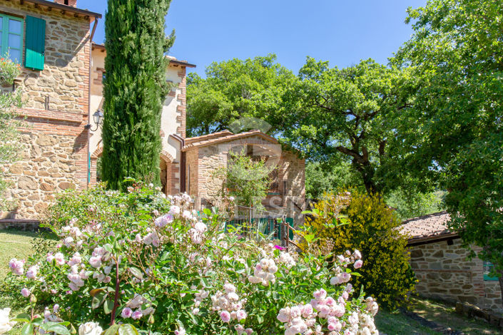 Image No.16-6 Bed Country House for sale