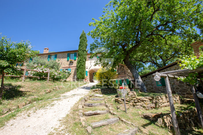 Image No.17-6 Bed Country House for sale