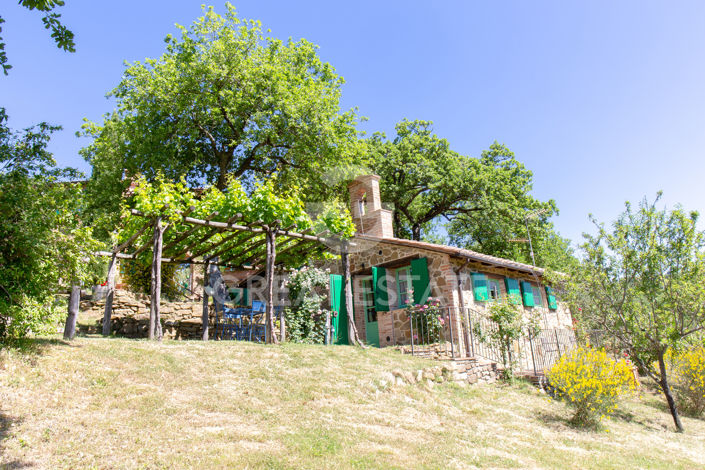 Image No.24-6 Bed Country House for sale