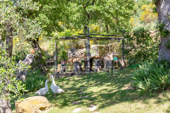 Image No.31-6 Bed Country House for sale