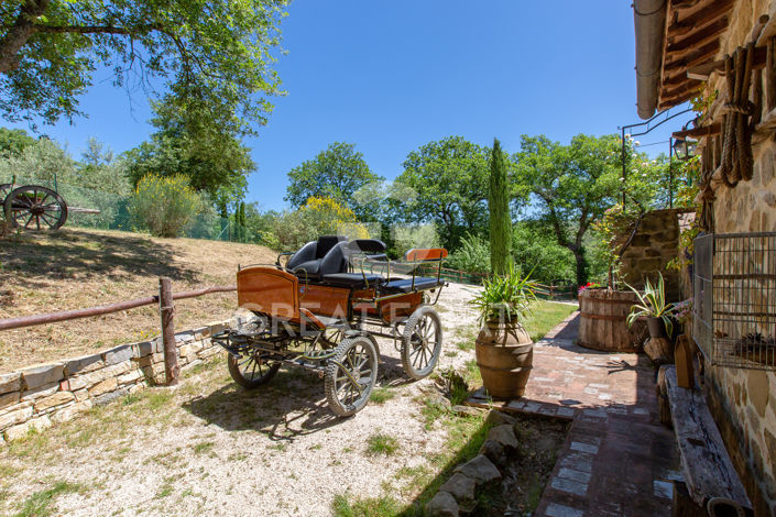 Image No.35-6 Bed Country House for sale