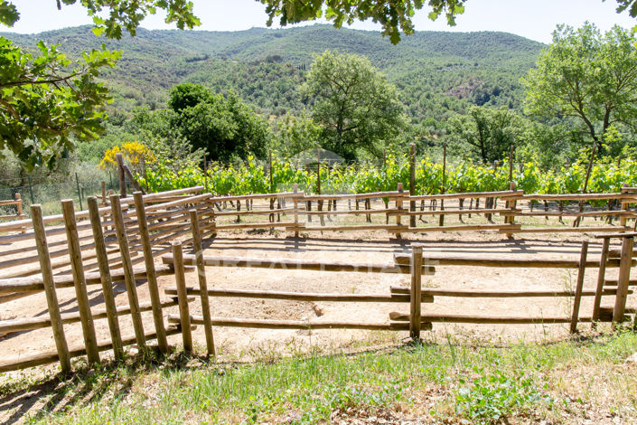 Image No.39-6 Bed Country House for sale