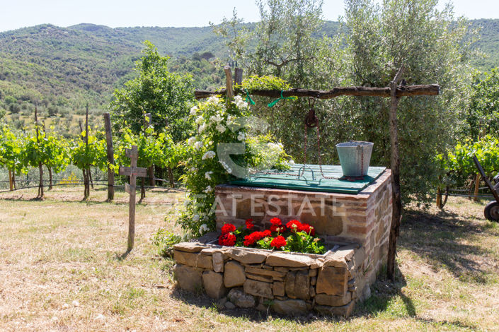 Image No.42-6 Bed Country House for sale