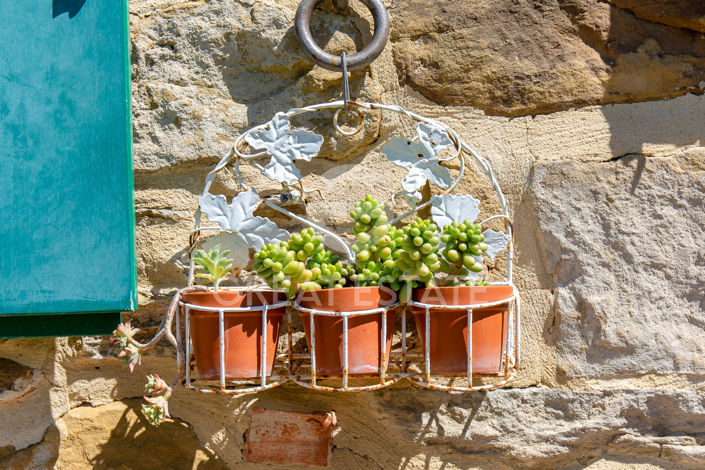 Image No.43-6 Bed Country House for sale