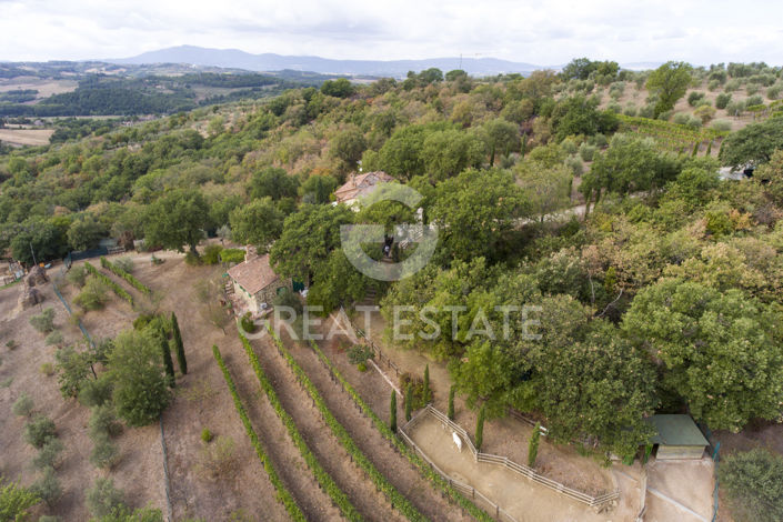 Image No.45-6 Bed Country House for sale