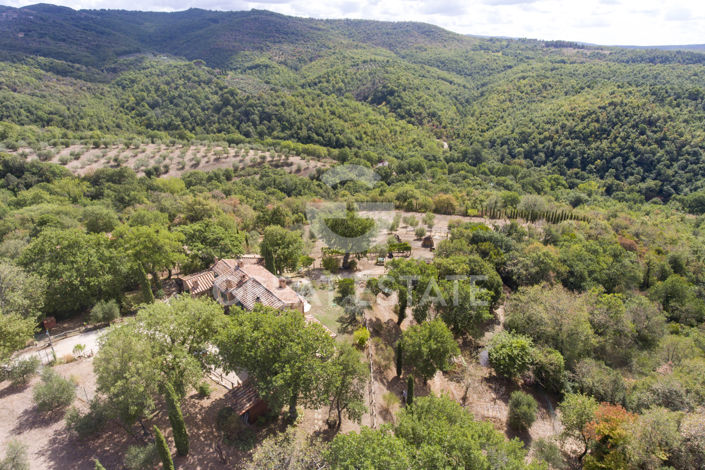 Image No.48-6 Bed Country House for sale