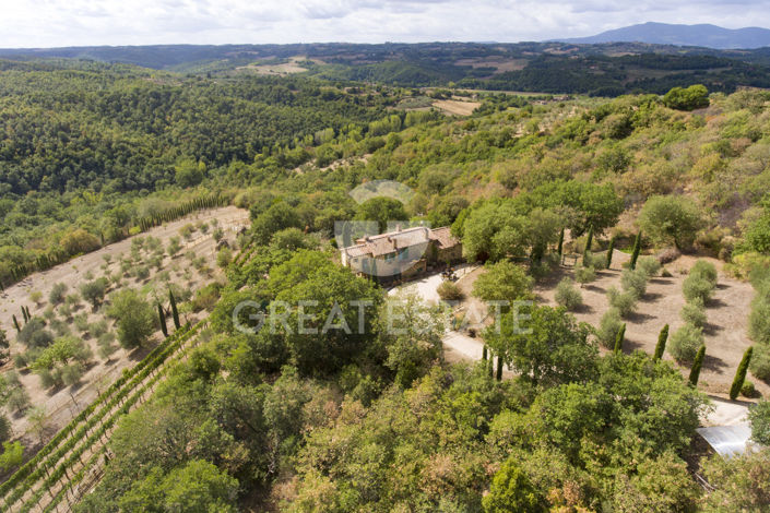 Image No.50-6 Bed Country House for sale