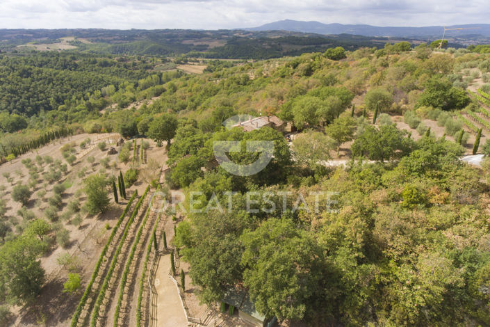 Image No.51-6 Bed Country House for sale