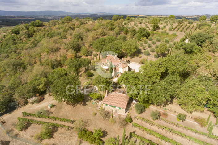 Image No.52-6 Bed Country House for sale