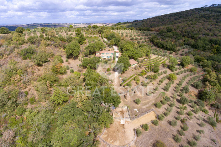 Image No.53-6 Bed Country House for sale