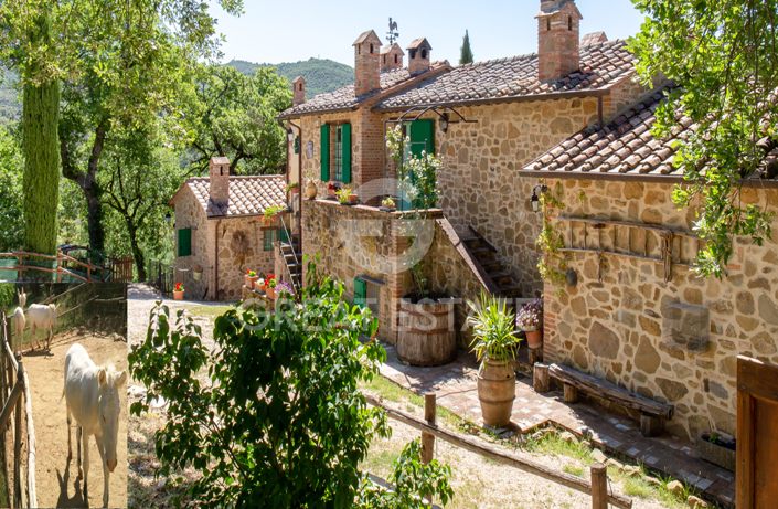 Image No.54-6 Bed Country House for sale