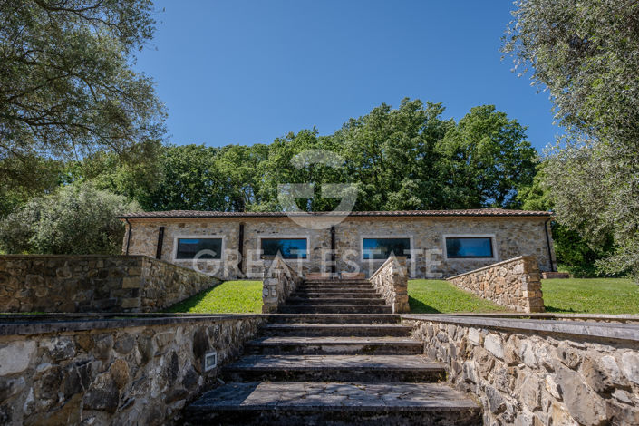 Image No.19-6 Bed Country House for sale