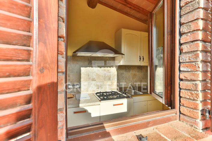 Image No.50-24 Bed Country House for sale