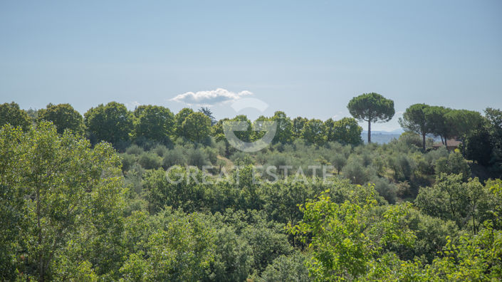 Image No.27-3 Bed Country House for sale