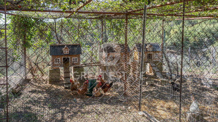 Image No.24-13 Bed Country House for sale