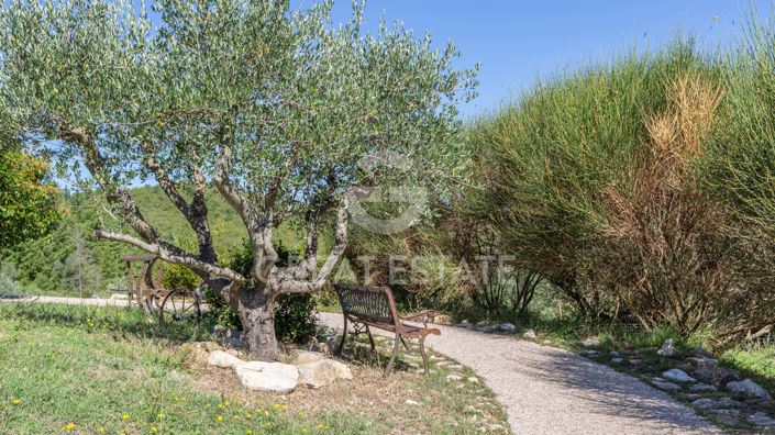 Image No.26-13 Bed Country House for sale