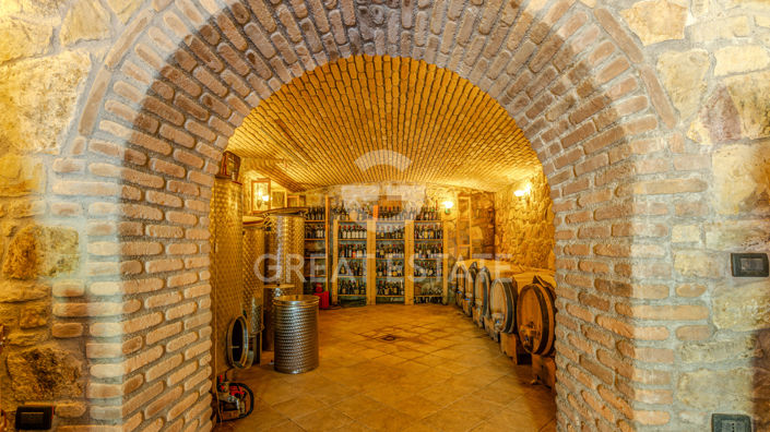 Image No.60-13 Bed Country House for sale