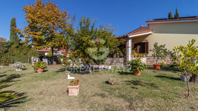 Photo_3