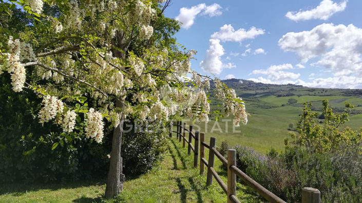 Image No.18-15 Bed Country House for sale