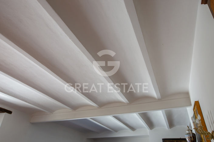 Image No.48-5 Bed Country House for sale