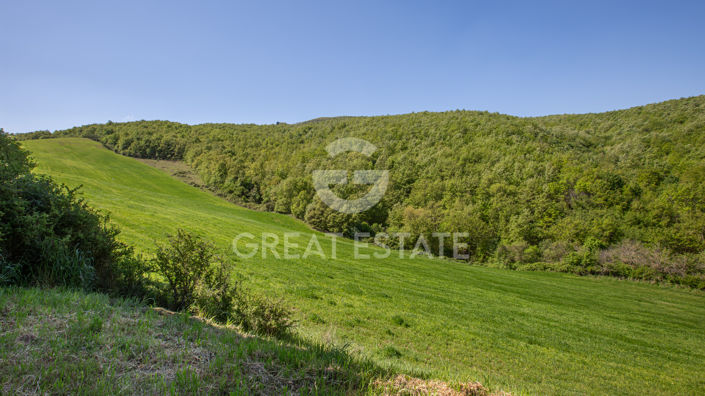 Image No.49-11 Bed Country House for sale