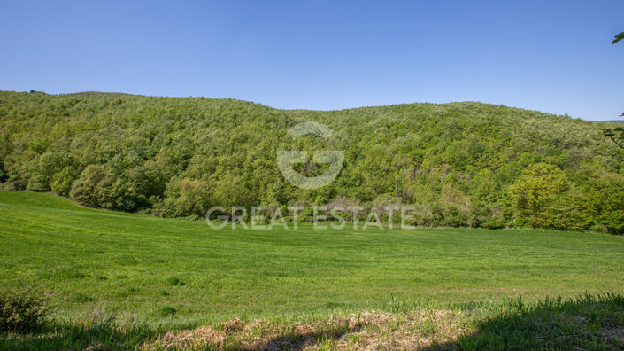 Image No.51-11 Bed Country House for sale
