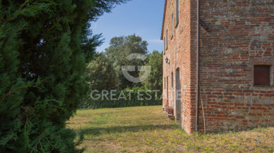 Photo_12