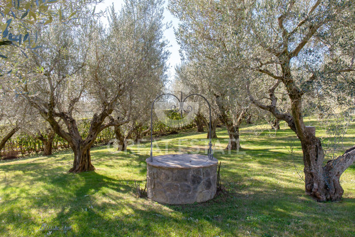 Image No.20-6 Bed Country House for sale