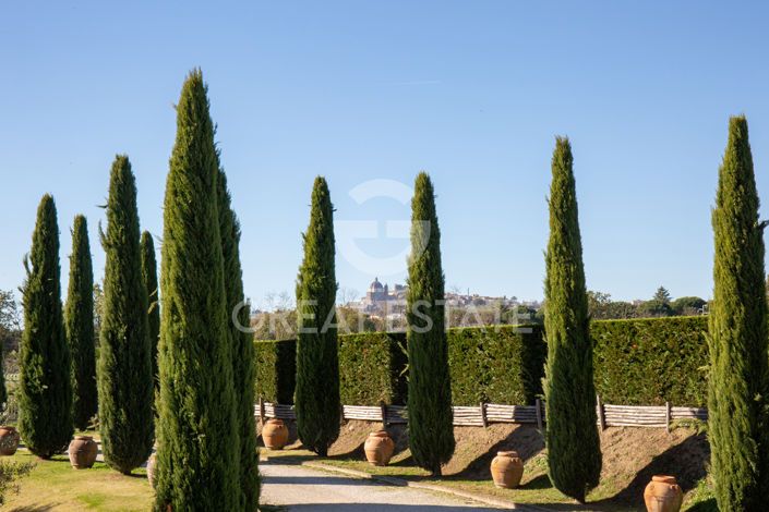 Image No.60-6 Bed Country House for sale