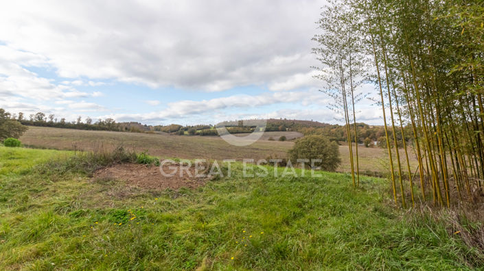 Image No.10-4 Bed Country House for sale