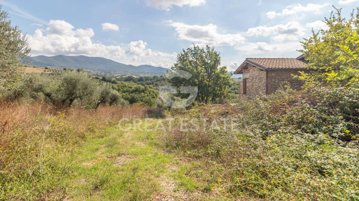 Image No.14-3 Bed Country House for sale