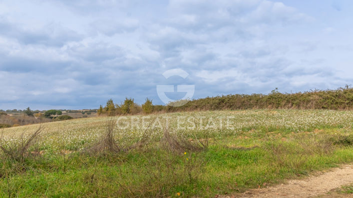 Image No.17-3 Bed Country House for sale