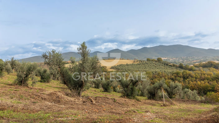 Image No.19-3 Bed Country House for sale