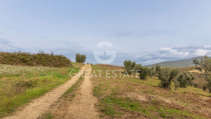 Image No.20-3 Bed Country House for sale