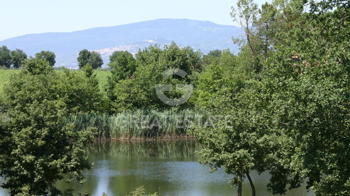 Image No.36-10 Bed Country House for sale