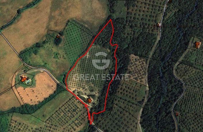 Image No.3-floorplan-3