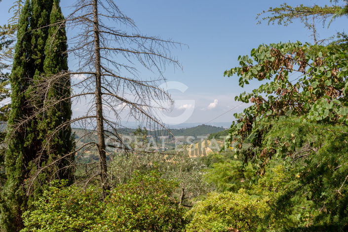 Image No.30-4 Bed Country House for sale