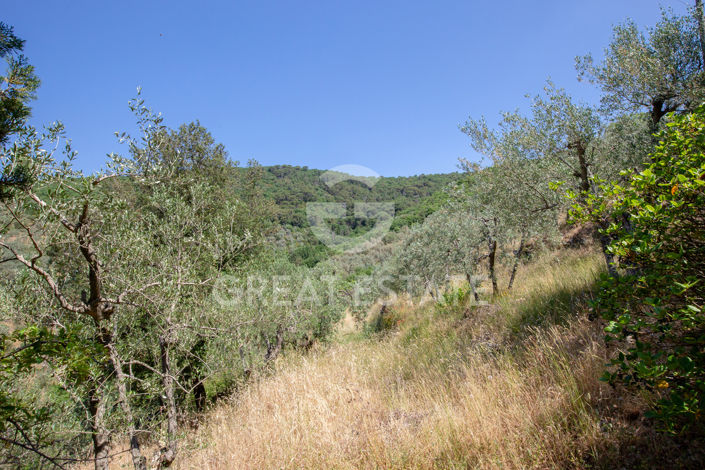 Image No.31-4 Bed Country House for sale