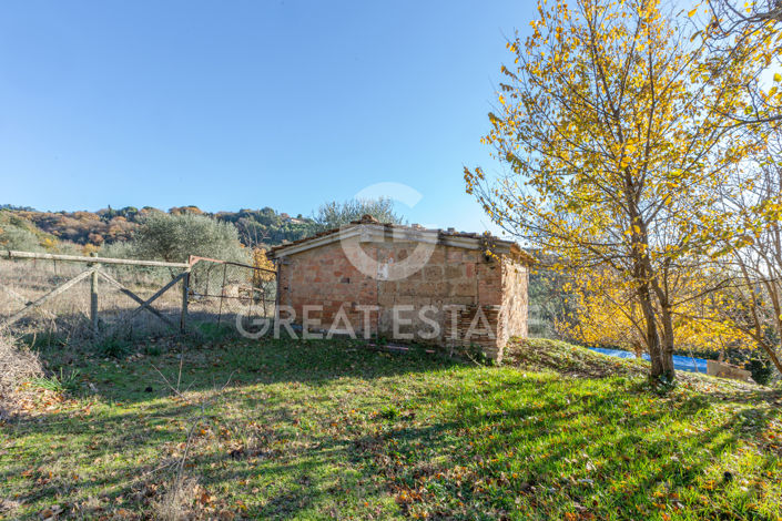 Image No.24-3 Bed Country House for sale